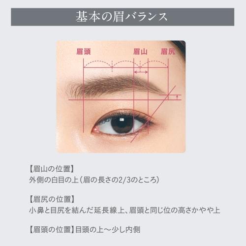 Esprique W Eyebrow Styler (Pencil) (Refill) BR300 Brown 0.1g 1.0 pieces
