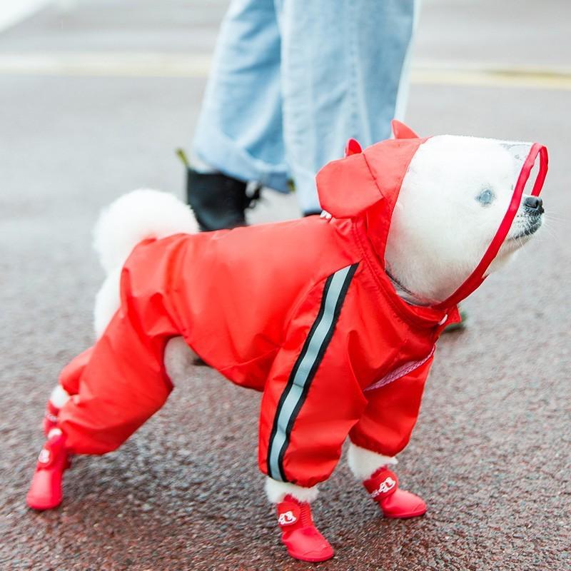 Bichon Frise Dog Raincoat: Full-Coverage, Waterproof, Four-Legged with Tail-Connected Design for Medium and Small Dogs