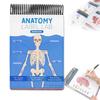 Anatomie Popisky Laboratorní Pracovní sešit 100+ Ilustrací Lidské Anatomie Pracovní sešit pro Učení Fyziologie pro Studenty Medicíny Lékaře Zdravotní Sestry
