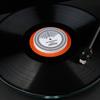 Disco di prova della velocità Morsetto per disco sospeso per giradischi in vinile Fonografo Righello di regolazione semplice del disco