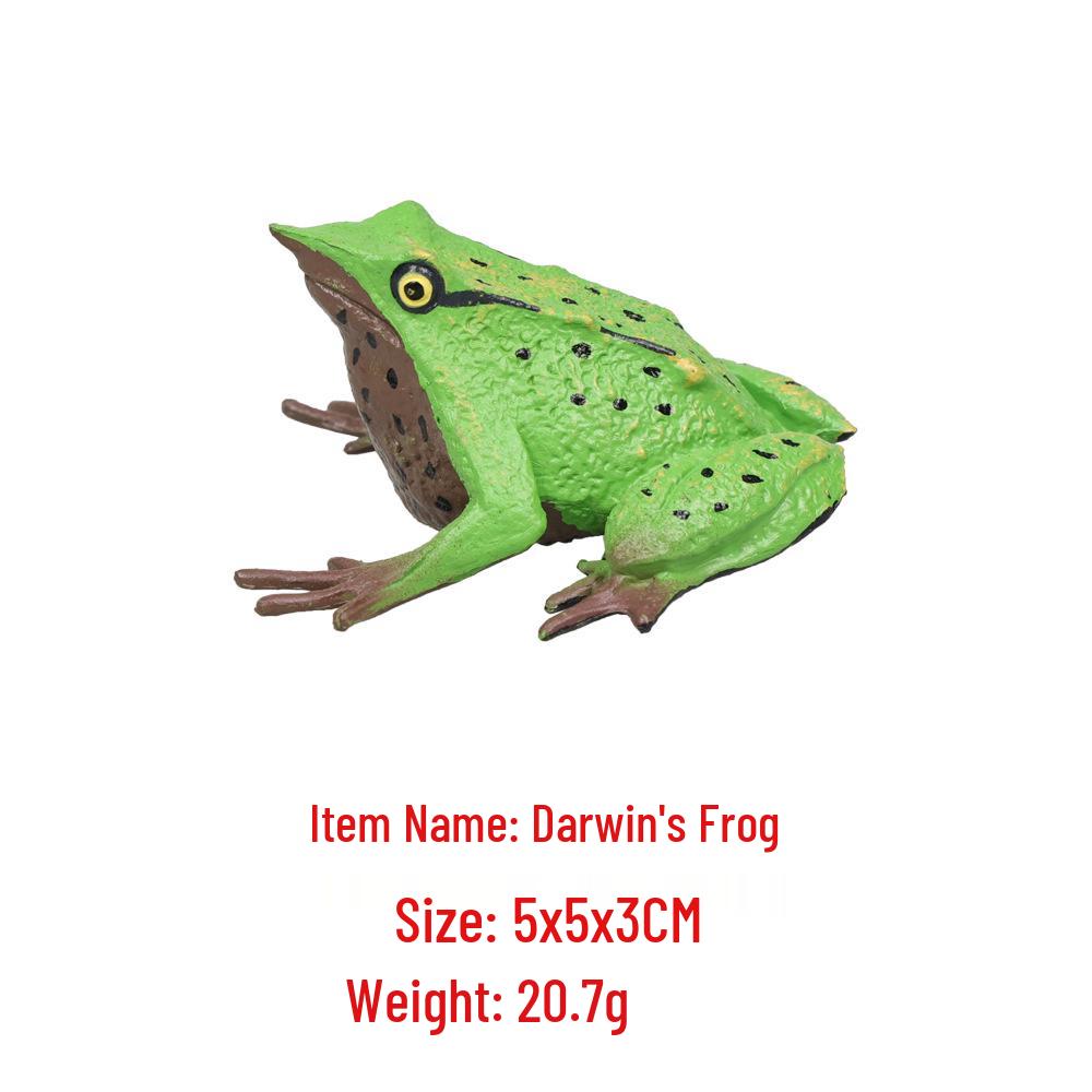 "Wildes Meerestier Simulationsmodell": Kinder Bildungs-Heimdeko-Spielzeug"