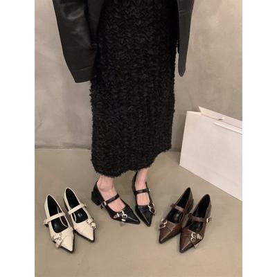 Temperament Pointed High Heels Black Single Shoes Women's Shoes Spring Autumn Winter Mary Jane Small Leather Shoes