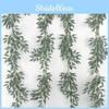 Foliage Eucalyptus Leaf For Wedding Backgrounds Outdoor Decoration Photography