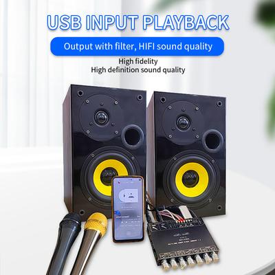2.1 Channel Digital   Amplifier Board Module High and Low   Subwoofer Support 5.1   Connection     Input U Disk USB Sound Card Playback