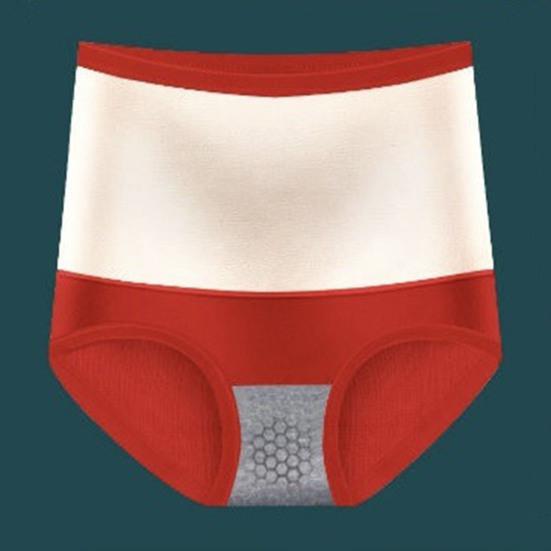 Damen-Unterhose, verdickter Plüsch, warme Taille, Gebärmutterschutz, hohe Taille, Bauchkontrolle, elastisch, weich, einfarbig, antiseptisch, Damenhöschen, Slips