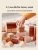 Beech Wood Building Blocks for Toddlers and Children Ages 3-6 – Unpainted, Solid, Chewable Educational Toy