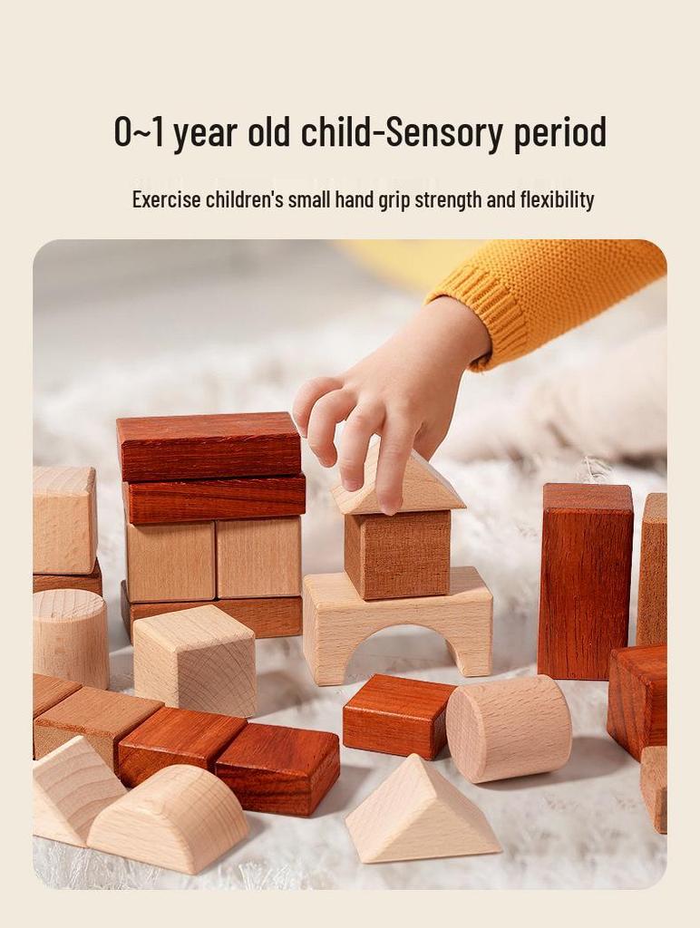 Beech Wood Building Blocks for Toddlers and Children Ages 3-6 – Unpainted, Solid, Chewable Educational Toy