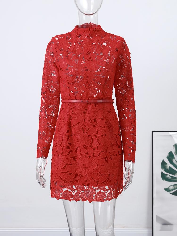 Damen Langarm Durchsichtiges Kleid Damen Blumen Ausgehöhlt Stehkragen Kleid Weihnachtsfeier Geburtstag Rotes Kleid 2025