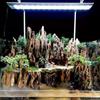 Decorazione per Acquario in Legno di Gamberetti, Legno Galleggiante Accessori Ornamentali per Vasche per Pesci Con Fori Naturali Adatto per Gamberetti