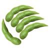 Realistic Reusable Green Bean Model Play Toy for Children's Amusement and