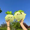 New Cute Vegetable Series Kohlrabi Doll Doll Cute Children's Birthday Gift Plush