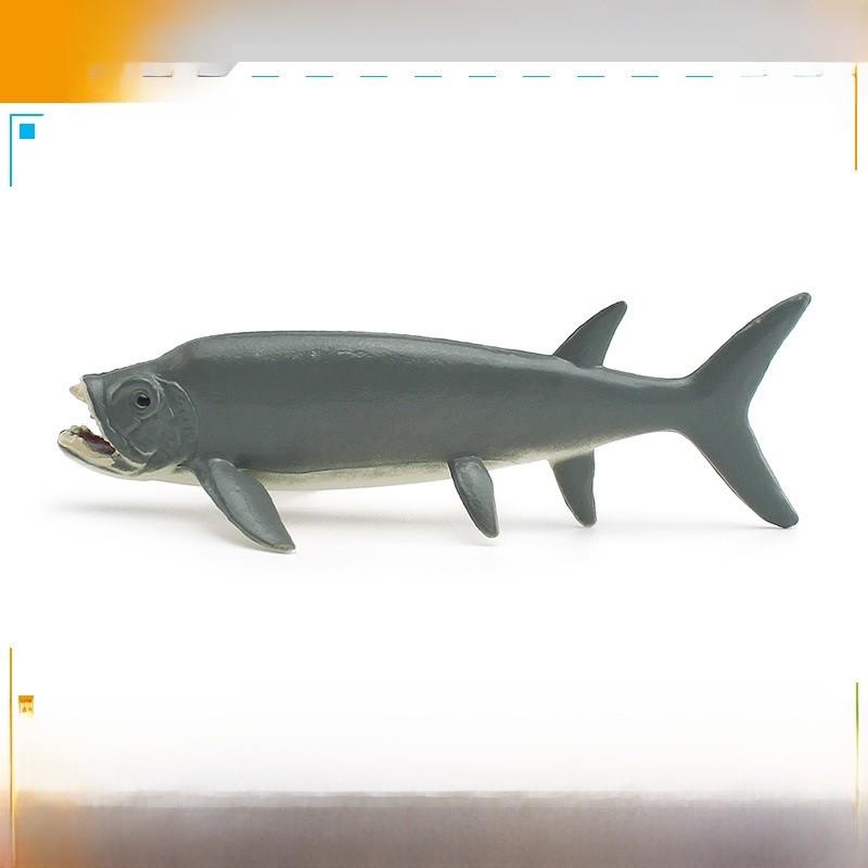 Marine Animal Model Set With Pvc Material Realistic Fish Decor For Aquarium Enthusiasts