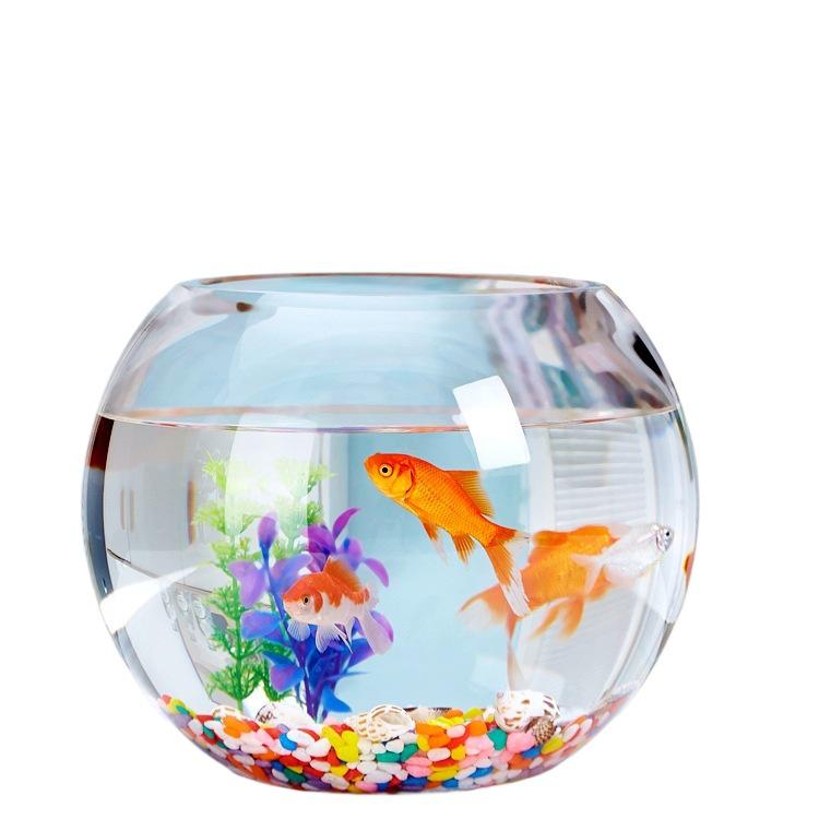 Transparent Round Glass Fish Tank for Office or Living Room - Small Desktop Aquarium for Goldfish or Turtles