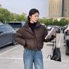 Winter Women Clothes Jackets Parkas Warm Stand Collar Cold Coat Zipper Puffer Jacket Korean Fashion Padded Jacket