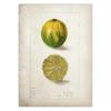 Classic Fruit Kitchen Antique Canvas Painting Retro Print Pear Apple Pineapple Wall Art Deco Picture,High Quality for Home Decor