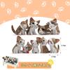 AAGWW Working Cat Figure Kitten Toy Mini Toy Cat Birthday Party Accessory 9 Brown Cheesecake Set, Figure, Character, (Product Contents Flavors)