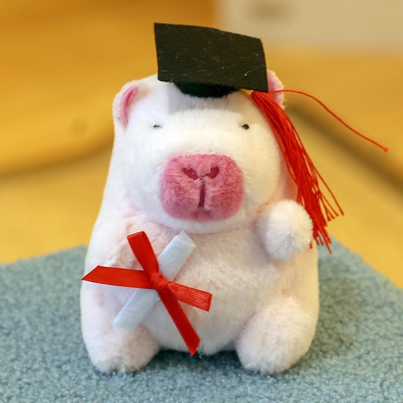 

Doctor Capybara Pendant Dr. Capibala Plush Keychain Students Graduation Gift Backpack Hanging Ornament Bag Car Cartoon Keyring (As shown-20866)-