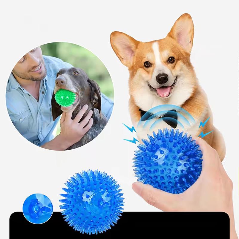 Elastischer TPR Quietsche-Stachel-Hundeball Langlebiges Kauspielzeug zum Zähneputzen Interaktives Selbstspiel Haustierspielzeug Anti-Biss Unterhaltungsball