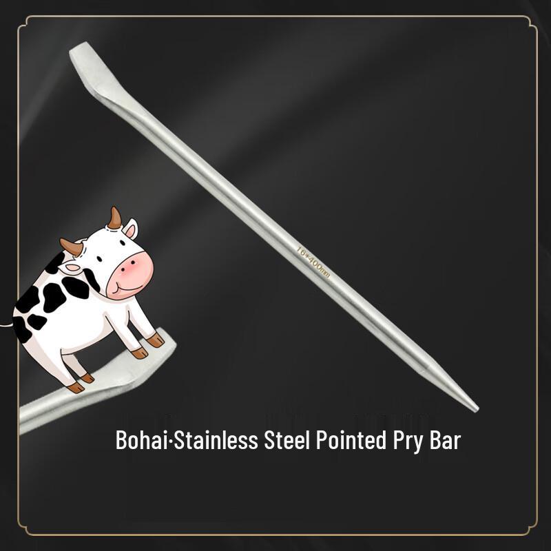 Chitu Stainless Steel Pointed & Flat Pry Bar