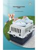 Portable Plastic Pet Carrier for Small/Medium Pets - Detachable Airline-Approved Transport Box
