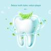 Nice Healthy Gums White Salt Mint Toothpaste