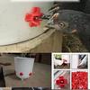 Red-Headed Automatic Poultry Nipple Drinker for Four-Corner Chicken Use