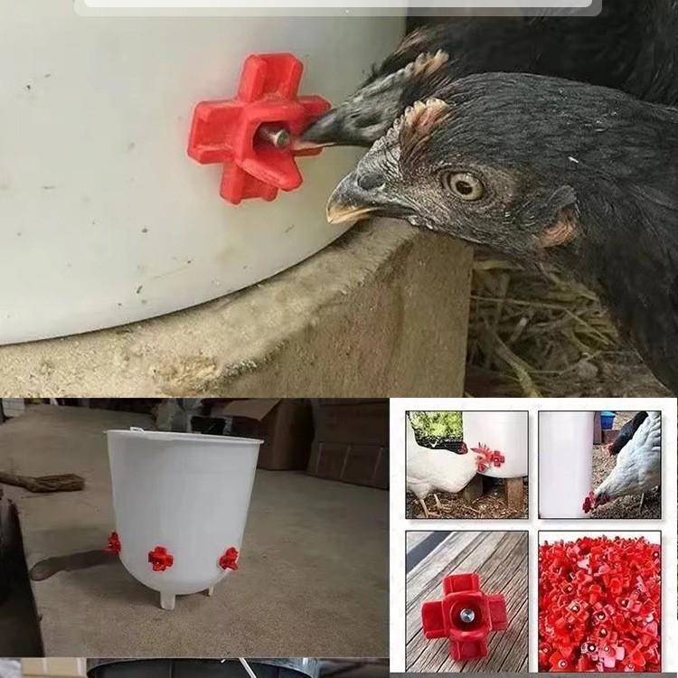 Red-Headed Automatic Poultry Nipple Drinker for Four-Corner Chicken Use