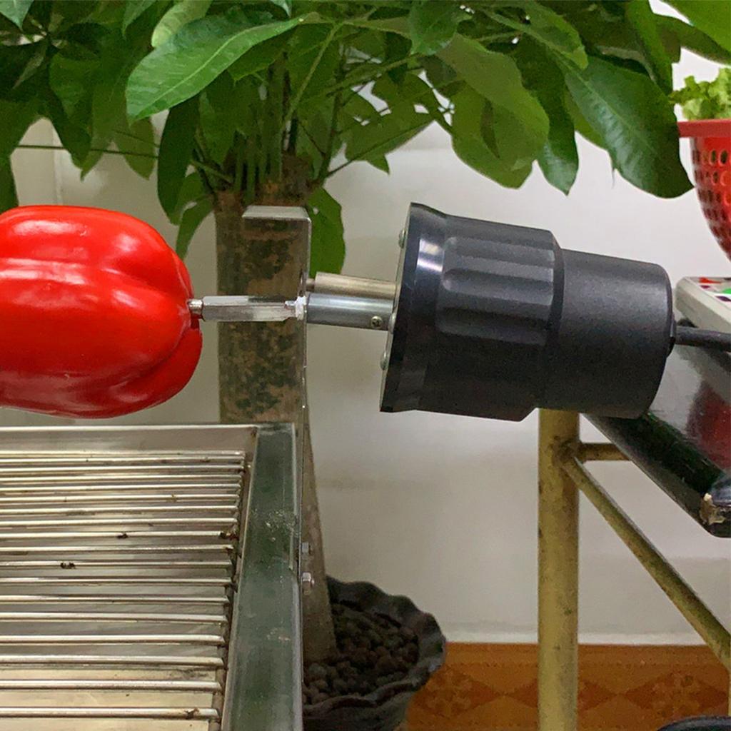 2 U/min 12-poliger AC-Motor Metall-Mikromotor für Elektrogrill 50/60Hz FD801A?2