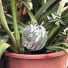 Set of 4 Watering Bulbs for Indoor Pots, Large Capacity Glass Slow Watering Globes with Ribbed Design for Balcony Flowers
