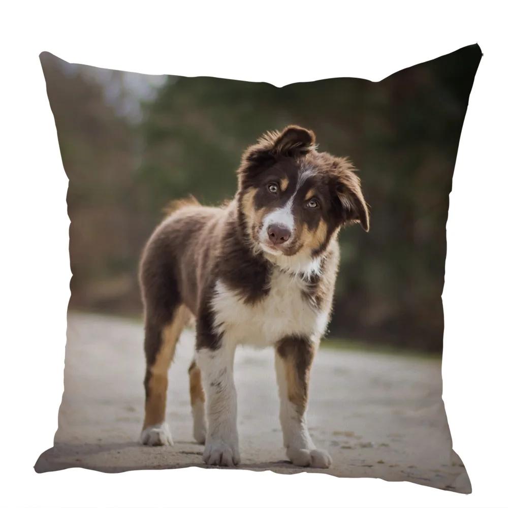 Cute Australian Shepherd Dog Pillow Case Peach Skin Decor Pet Animal Cushion Cover Thorw Pillowcase for Sofa Home Car 45x45cm