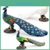 Pvc Peacock Model Bird Figurine Decorative Wildlife Animal Display For Home Office