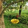 Wide-Mouth Heart Shape Bird Feeder Iron Art Retro Bird Bath Flower Bird Water Feeder  Courtyard