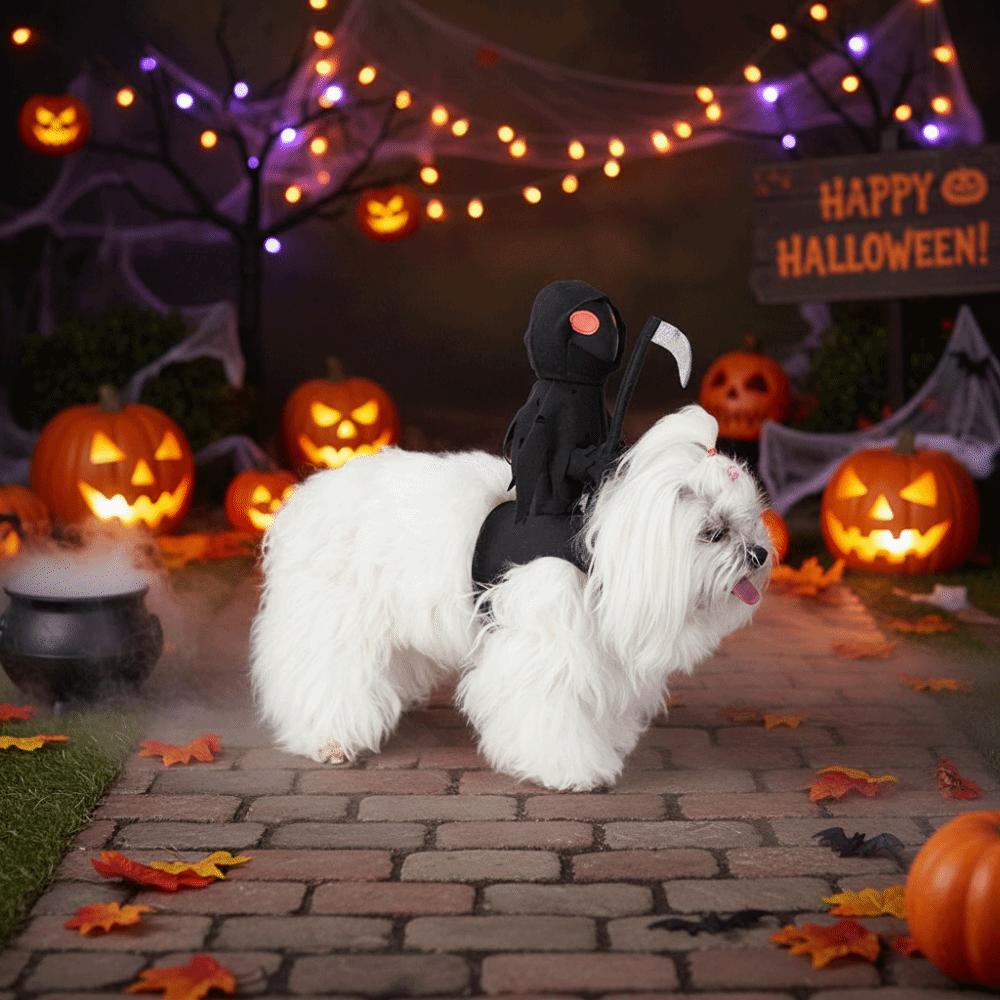 Lustiges Hundekostüm Kreatives Hundesattel-Kostüm Hund Geisterreiter-Kostüm Halloween-Party