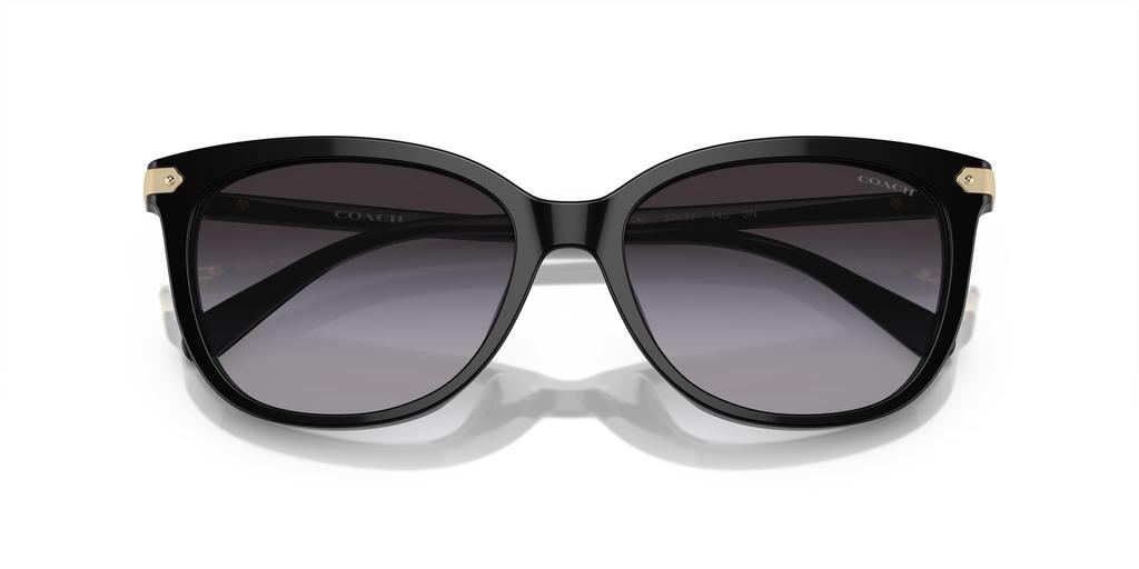 Sunglasses HC8378U CL926 BLACK 57 [Coach] Women's