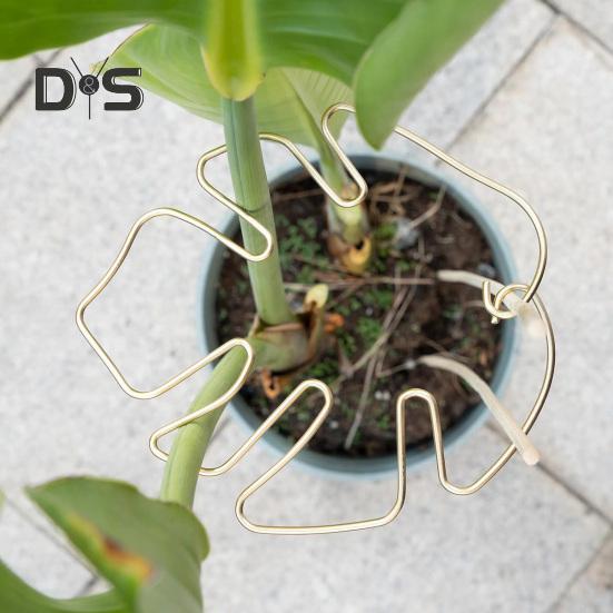 Monstera Plant Support Reusable Coated Iron Stem Holder Flower or Heart Shaped Stabilizer Climbing Plants Stem Support for Indoor Outdoor Plants