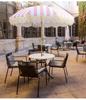 European Style Rotatable Patio Umbrella with Tassel Edge - Wooden Pole and Sunshade for Garden, Beach, Pool, and Terrace
