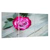 Glass Hob Protector 3x30x52