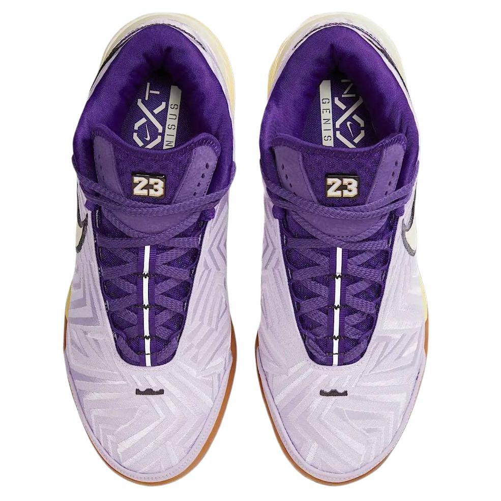 Nike LeBron NXXT Genisus Support Grip Basketball Shoes Men's Purple Sneakers IM8549-500