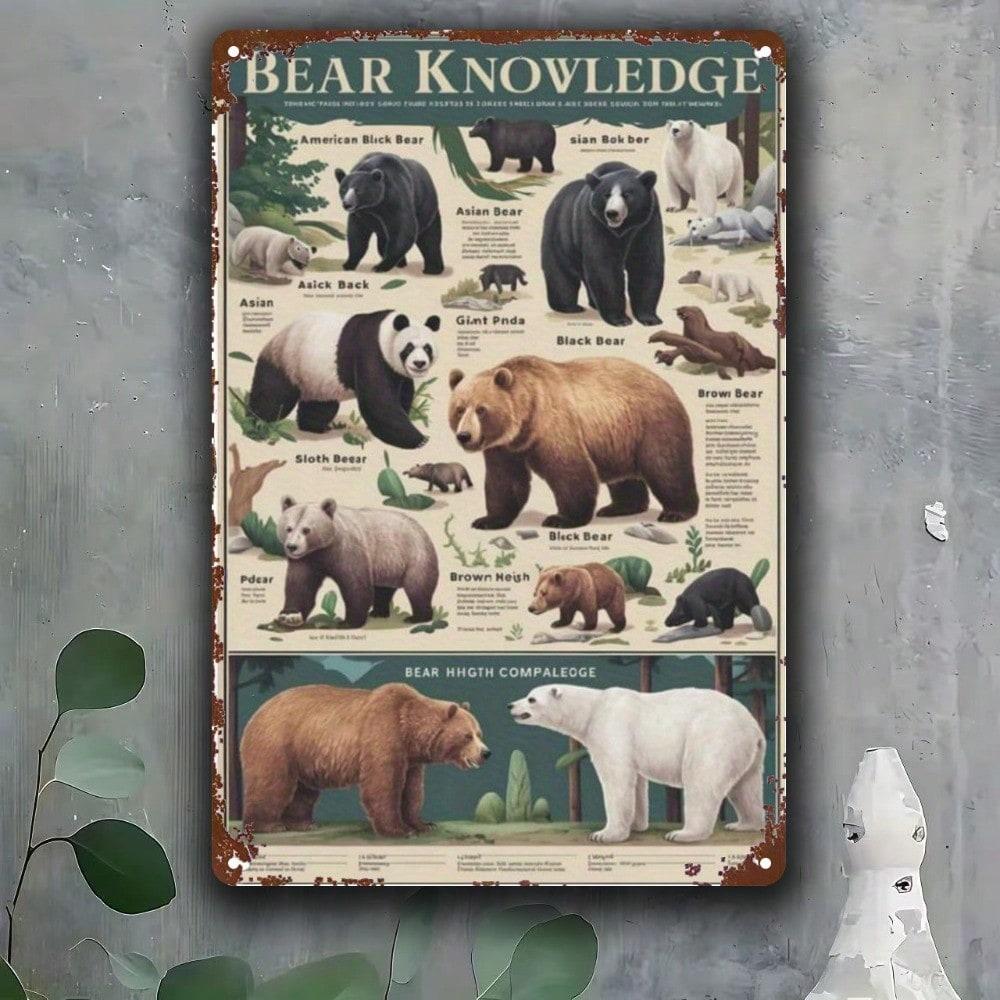 Educational Bear Species Metal Wall Art Sign Rustic Iron Chart 8x12 Inch Black Brown Polar Asiatic Black