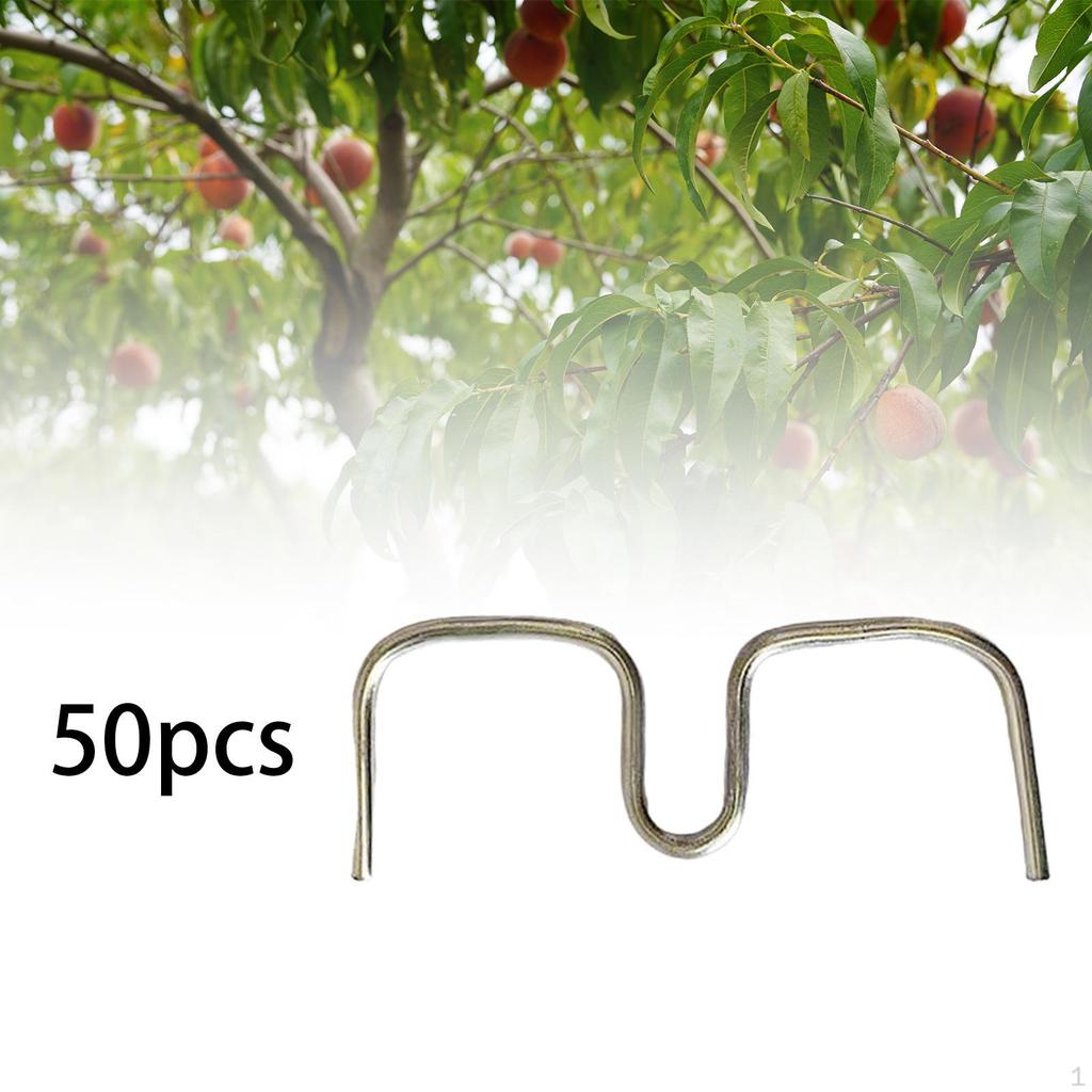 50 Pieces Fruit Tree Branch Puller Bending Tools Shaping Trees Limb Branches