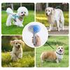 Multifunctional Grooming Brush For Pet Deep Cleaning Massage Comb Nonslip Handle Easyly Clean Various Size