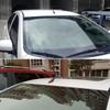 1 Set Universal Long Short Auto Roof Carbon Fiber Radio Aerial Accessories Enhanced Signal Tools Car Roof Antenna