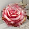 1PC Rose Petals Pattern Small Travel Compact Windproof Umbrella, Automatic Folding Umbrella, Automatic Open/Close ,Gift-139