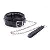 Intimate Adult Neckband & Leash Set