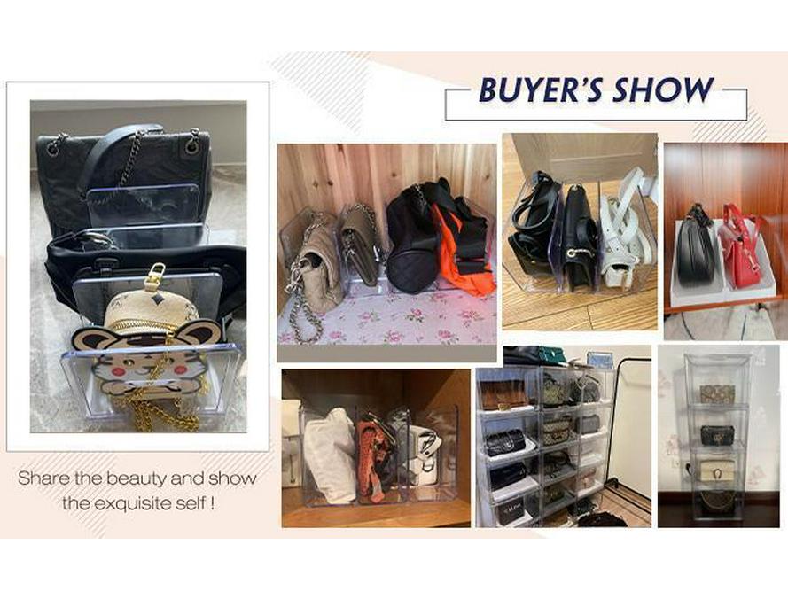 Small Handbag Storage Rack Divider: Crossbody Bag Holder & Closet Organizer