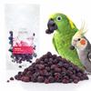 Crispy Freeze-Dried Blackberry For Parrots - Natural Fruit Treat | 20 G