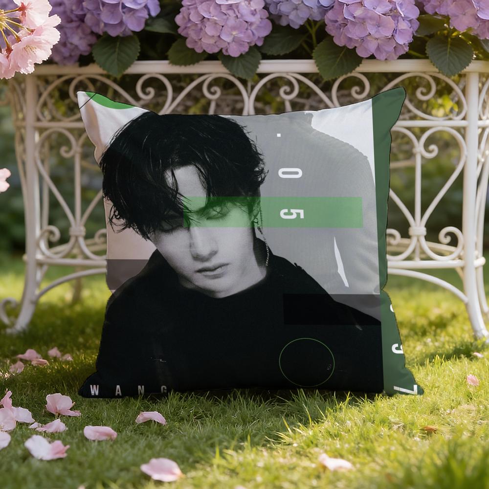 Singer W-Wang Yibo Cushion Cover Home & Car Dual-Scene Pillow Cover: Reversible For Premium Comfort