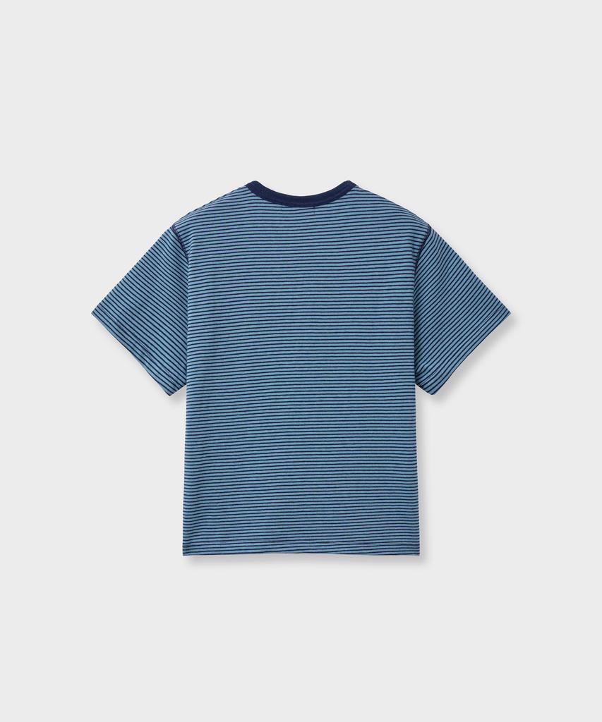 Aleukaig Stripe T-Shirt_Blue