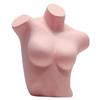 Female Mannequin Torso Bra Display Mannequin for Countertop Showcase Cloakroom