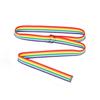 New Korean Version of Women's Double Ring D-buckle Colorful Webbing Casual Versatile Women's Super Long Summer Decorative Belt